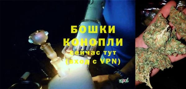 гидропоника Белокуриха