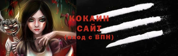 индика Дрезна