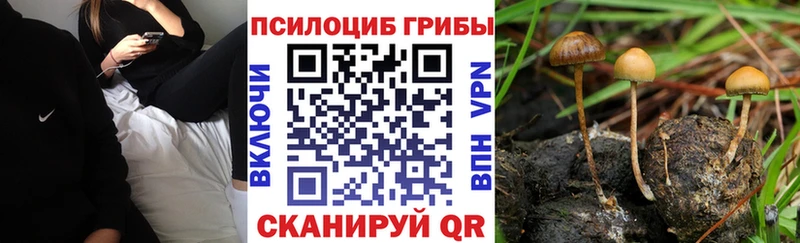 продажа наркотиков  Никольск  mega зеркало  Галлюциногенные грибы MAGIC MUSHROOMS 