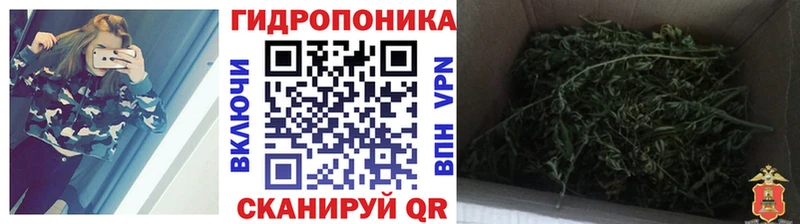 Каннабис Bruce Banner  магазин продажи   Никольск 